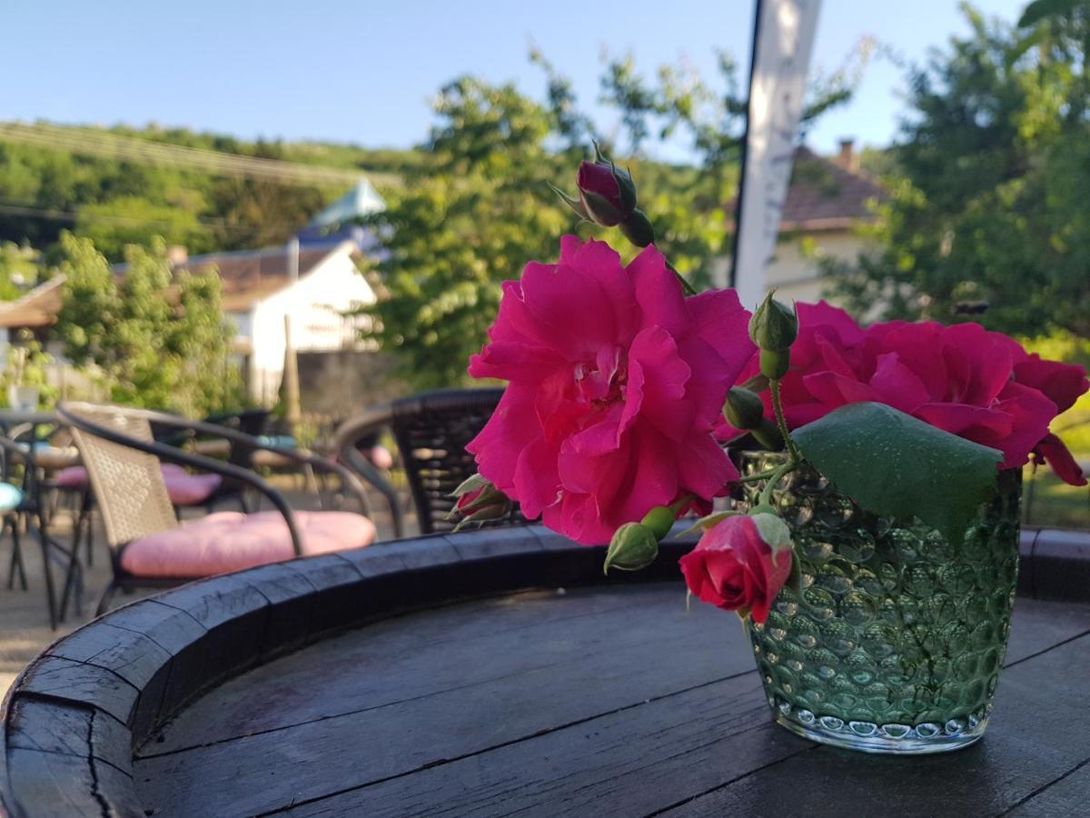 Antaloczy Cottage Tokaj Eksteriør billede